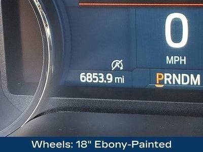 2024 Ford Expedition Timberline