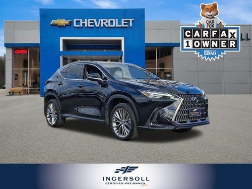 2024 Lexus NX 350 Luxury