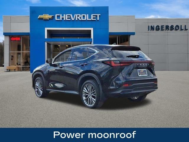 2024 Lexus NX 350 Luxury