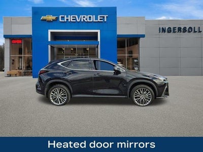 2024 Lexus NX 350 Luxury