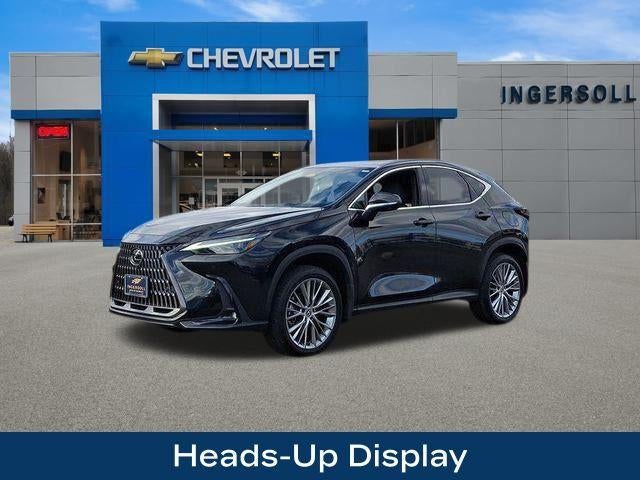 2024 Lexus NX 350 Luxury